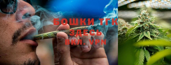 сатива Волоколамск