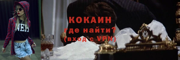 ГАЛЛЮЦИНОГЕННЫЕ ГРИБЫ Верея
