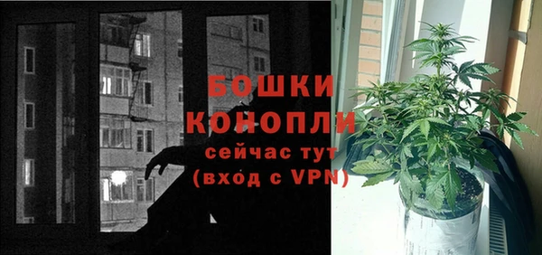 ГАЛЛЮЦИНОГЕННЫЕ ГРИБЫ Верея