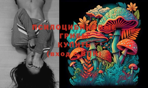 ГАЛЛЮЦИНОГЕННЫЕ ГРИБЫ Верея