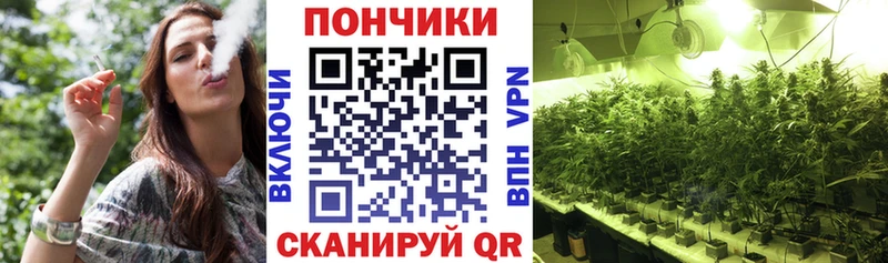 Купить закладки  Покачи  Бошки марихуана VHQ 